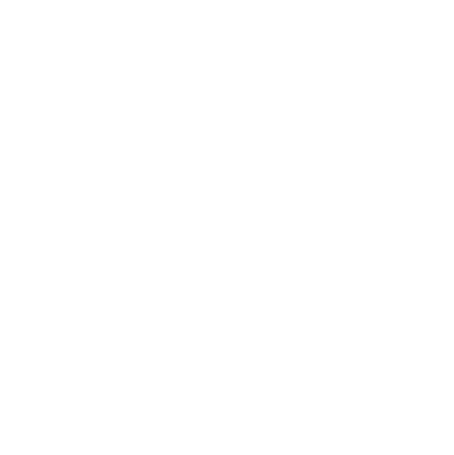 VALORES CORPORATIVOS ICONO CONFIANZA BLANCO