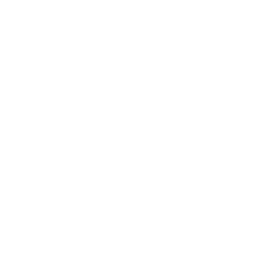 VALORES CORPORATIVOS ICONO SERVICIO BLANCO